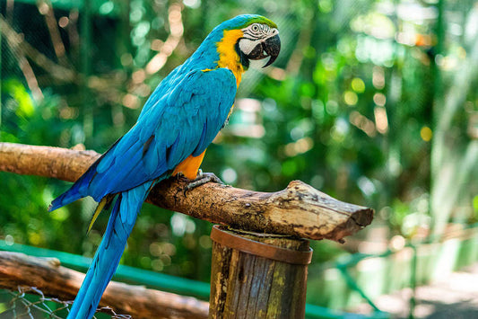 FOZ DO IGUAÇU - TRÍPLICE FRONTEIRA 31/10 à 02/11