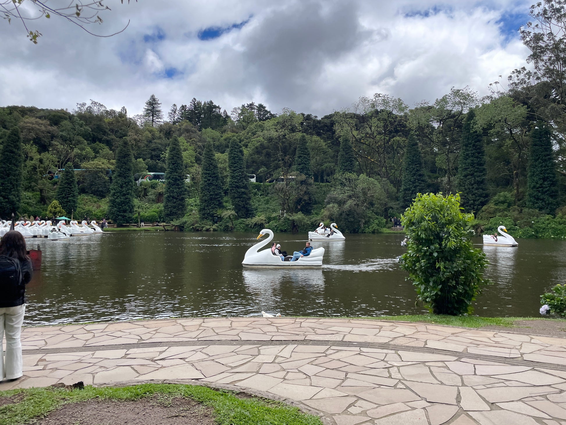 Lago Negro 
